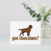 Chocolate Labrador Postkarte (Stehend Vorderseite)