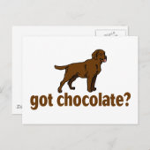 Chocolate Labrador Postkarte (Vorne/Hinten)