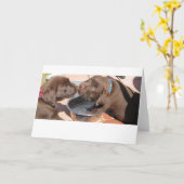 Chocolate Labrador Puppies Karte (Gelbe Blume)