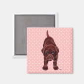 Chocolate Labrador Puppy Magnet (Vorderseite/Rückseite)