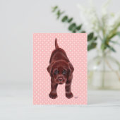Chocolate Labrador Puppy Postkarte (Stehend Vorderseite)