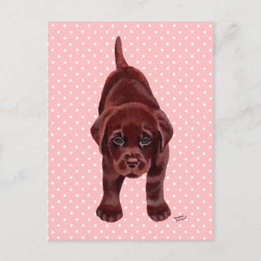 Chocolate Labrador Puppy Postkarte (Vorderseite)
