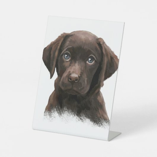 Chocolate Labrador Puppy Sockelschild (Vorderseite)