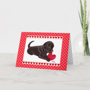 Chocolate Labrador Puppy Valentine's Day Card Feiertagskarte