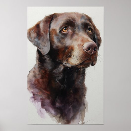 Chocolate-Labrador-Retriever Aquarell Poster (Vorne)