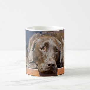 Chocolate Labrador Retriever Close-Up Photo Kaffeetasse