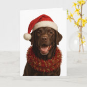 Chocolate Labrador Retriever Dog Christmas card Karte (Gelbe Blume)