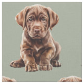 Chocolate Labrador Retriever Hund  Stoff (Nahaufnahme)