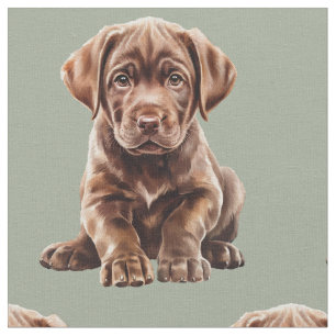 Chocolate Labrador Retriever Hund Stoff