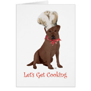 Chocolate Labrador Retriever Kochen