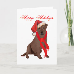 Chocolate Labrador Retriever Weihnachten