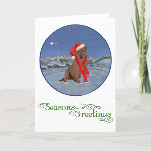 Chocolate Labrador Retriever Weihnachten