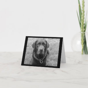 Chocolate Labrador Retriever Welpen Grußkarte Karte