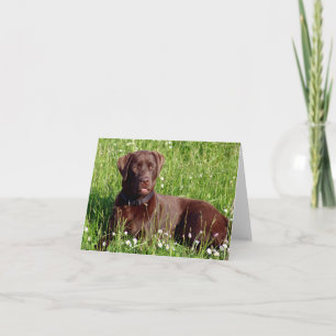 Chocolate Labrador Retriever Welpen-Hund Notizkart Karte
