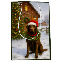 Chocolate Labrador Urlaub 