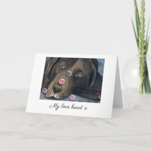Chocolate Labrador Valentinskarte Karte