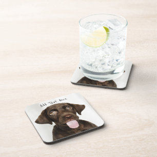Chocolate-Labrador-Welpe Getränkeuntersetzer