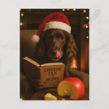 Chocolate / Leber Cocker Spaniel Weihnachts-Postka