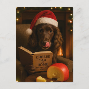 Chocolate / Leber Cocker Spaniel Weihnachts-Postka Postkarte
