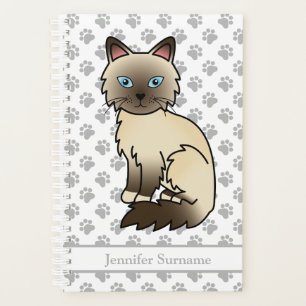 Chocolate-Point-Birman/Ragdoll-Katze und Pfoten &  Planer