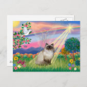 Chocolate Point Himalayan Cat - Cloud Angel Postkarte (Vorne/Hinten)