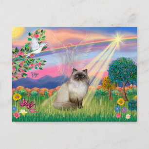 Chocolate Point Himalayan Cat - Cloud Angel Postkarte
