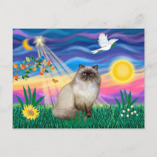 Chocolate Point Himalayan Katze - Zwielicht Postkarte