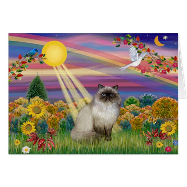 Chocolate Point Himalayan - Sonne im Herbst (Vorderseite (Horizontal))