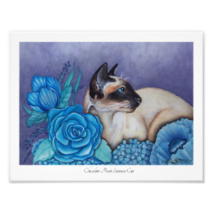 Chocolate Point Siamese Fotoabzug Fotodruck