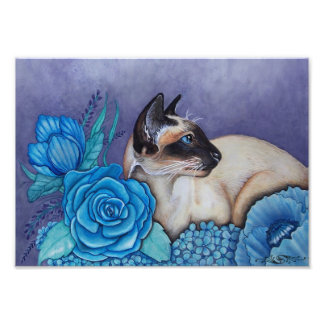 Chocolate Point Siamese Fotodruck