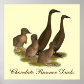 Chocolate Runner Duck Family Poster (Vorne)