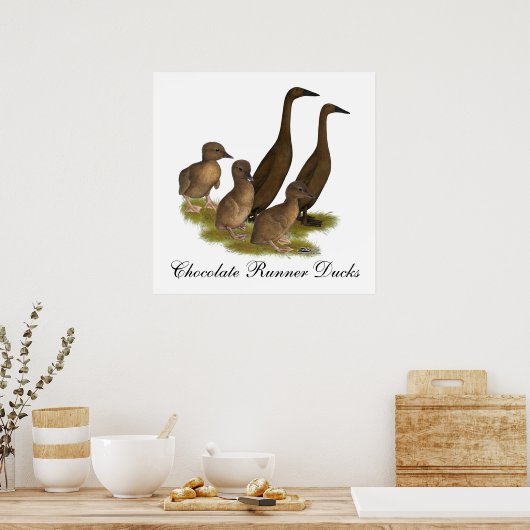 Chocolate Runner Duck Family Poster (Küche)