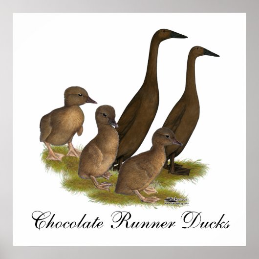 Chocolate Runner Duck Family Poster (Vorne)