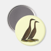 Chocolate Runner Ducks Magnet (Vorderseite/Rückseite)