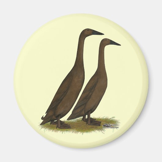 Chocolate Runner Ducks Magnet (Vorne)