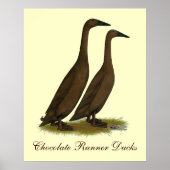 Chocolate Runner Ducks Poster (Vorne)