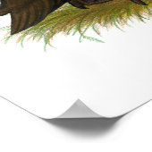 Chocolate Runner Ducks Poster (Ecke)