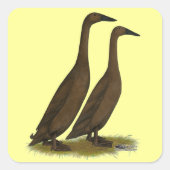 Chocolate Runner Ducks Quadratischer Aufkleber (Vorderseite)