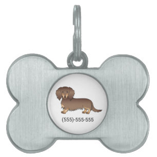 Chocolate- und Lohfarbener Langhaar-Dachshund-Hund Tiermarke