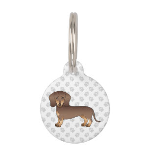 Chocolate und Tan glatthaariger Dachshund süßer Hu Haustiermarke
