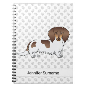Chocolate- und Tan-Piebald Langhaar-Dachshund & Te Notizblock