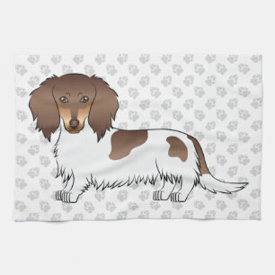 Chocolate- und Tan-Piebald Langhaar-Dachshund und Geschirrtuch