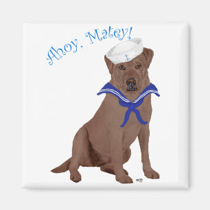 Chocolatebrauner Labrador Retriever Magnet