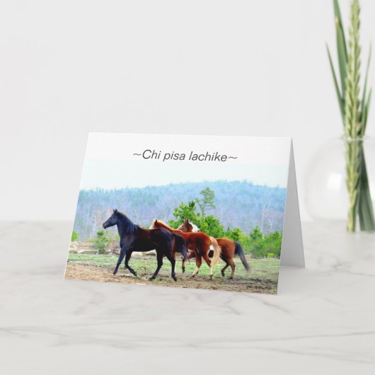 Choctaw-Gruß-Karten (Chipisa lachike) Karte (Vorderseite)