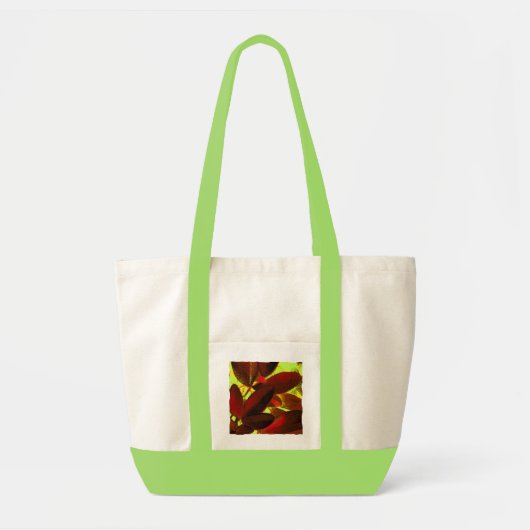 Choisya Herbst 2 Impuls Tasche (Vorne)