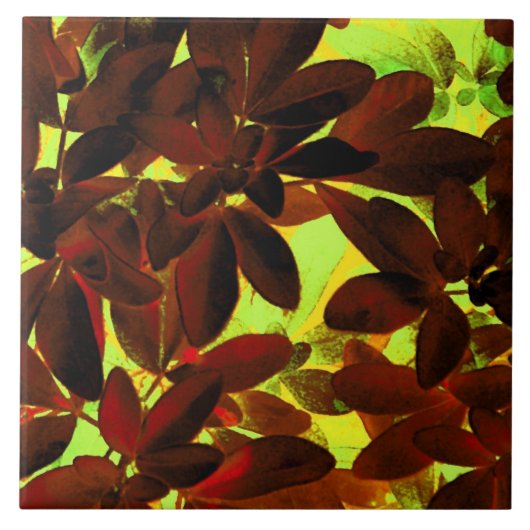 Choisya Herbst 2 Keramik Fliese (Vorderseite)