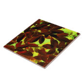 Choisya Herbst 2 Keramik Fliese (Seite)