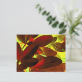 Choisya Herbst 2 Postkarte (Stehend Vorderseite)