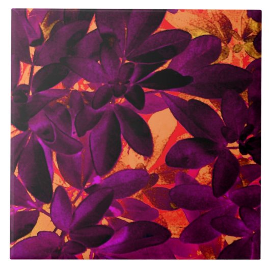 Choisya Herbst 3 Keramik Fliese (Vorderseite)