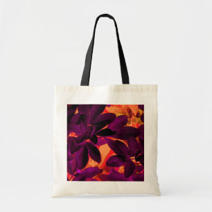 Choisya Herbst 3 Tasche